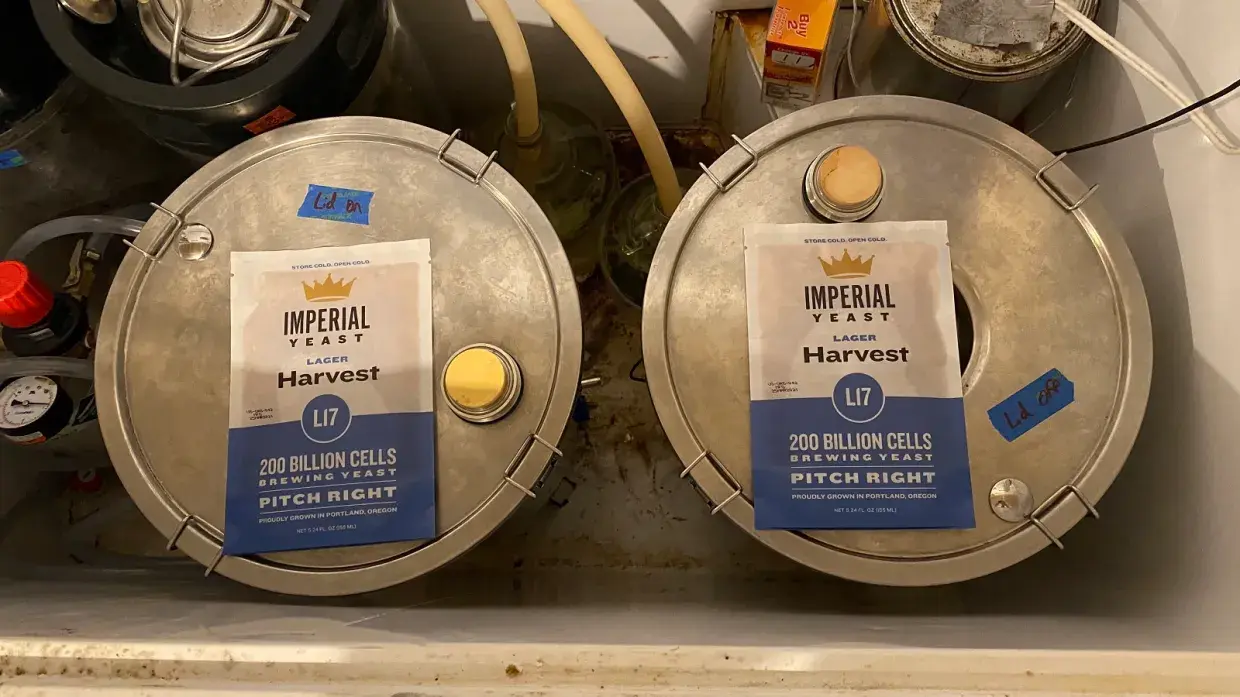 EXBEERIMENT | THE BOIL EFFECT: LID ON VS LID OFF IN A MUNICH HELLES