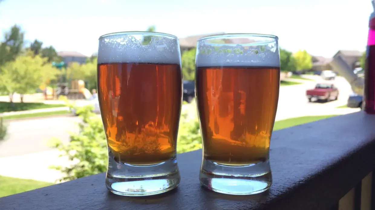 EXBEERIMENT | イーストの比較: SAFLAGER W-34/70 VS. WLP833 GERMAN BOCK LAGER IN A MÄRZEN