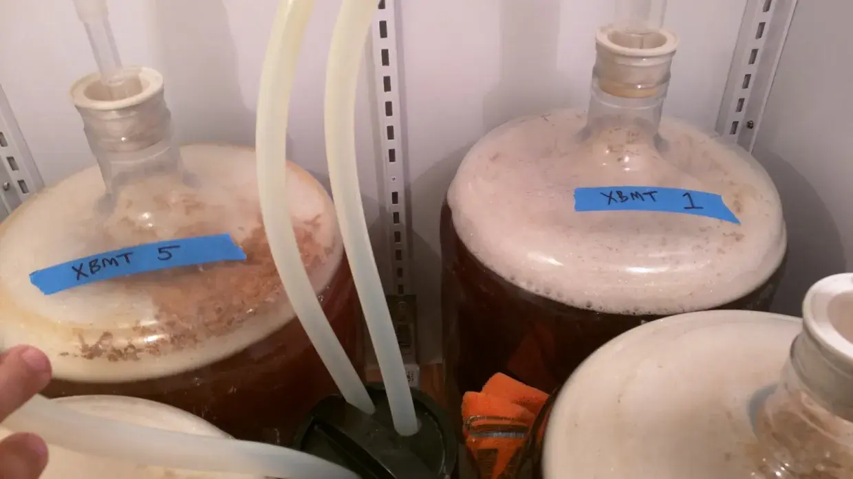 EXBEERIMENT｜YEAST PITCH RATE: メルツェンにおけるアンダーピッチとオーバーピッチの比較